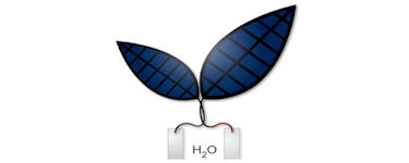 Bionic Leaf Turns Sunlight And Bacteria Into Fertilizer Factories